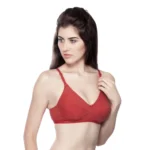sharon ollo bra purple side