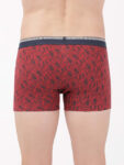 seaport-teal-printed-trunk-us63-7