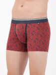 seaport-teal-printed-trunk-us63-7