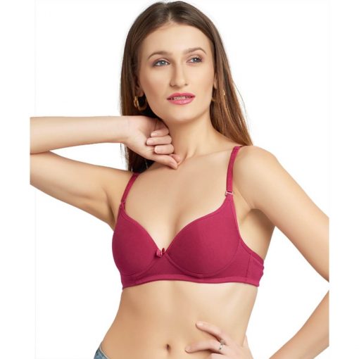 Buy DAISY DEE Women T-Shirt Non Padded Bra (Pink) Online at Best Prices in  India - JioMart.