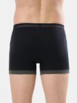 reflecting-pond-and-mid-grey-mel-boxer-brief-pack-of-2-1017-13