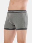 reflecting-pond-and-mid-grey-mel-boxer-brief-pack-of-2-1017-13