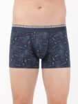 seaport-teal-printed-trunk-us63-7
