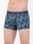 seaport-teal-printed-trunk-us63-7