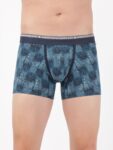 seaport-teal-printed-trunk-us63-7