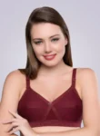 trylo-krutika-plain-bra-blackcurrent-front_53