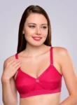 trylo-krutika-plain-bra-blackcurrent-front_53