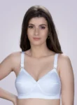 trylo-krutika-plain-bra-blackcurrent-front_53