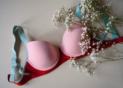 The Maternity and Nursing Bra