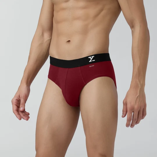 mens-aero-silver-cotton-brief-bold-burgundy-side